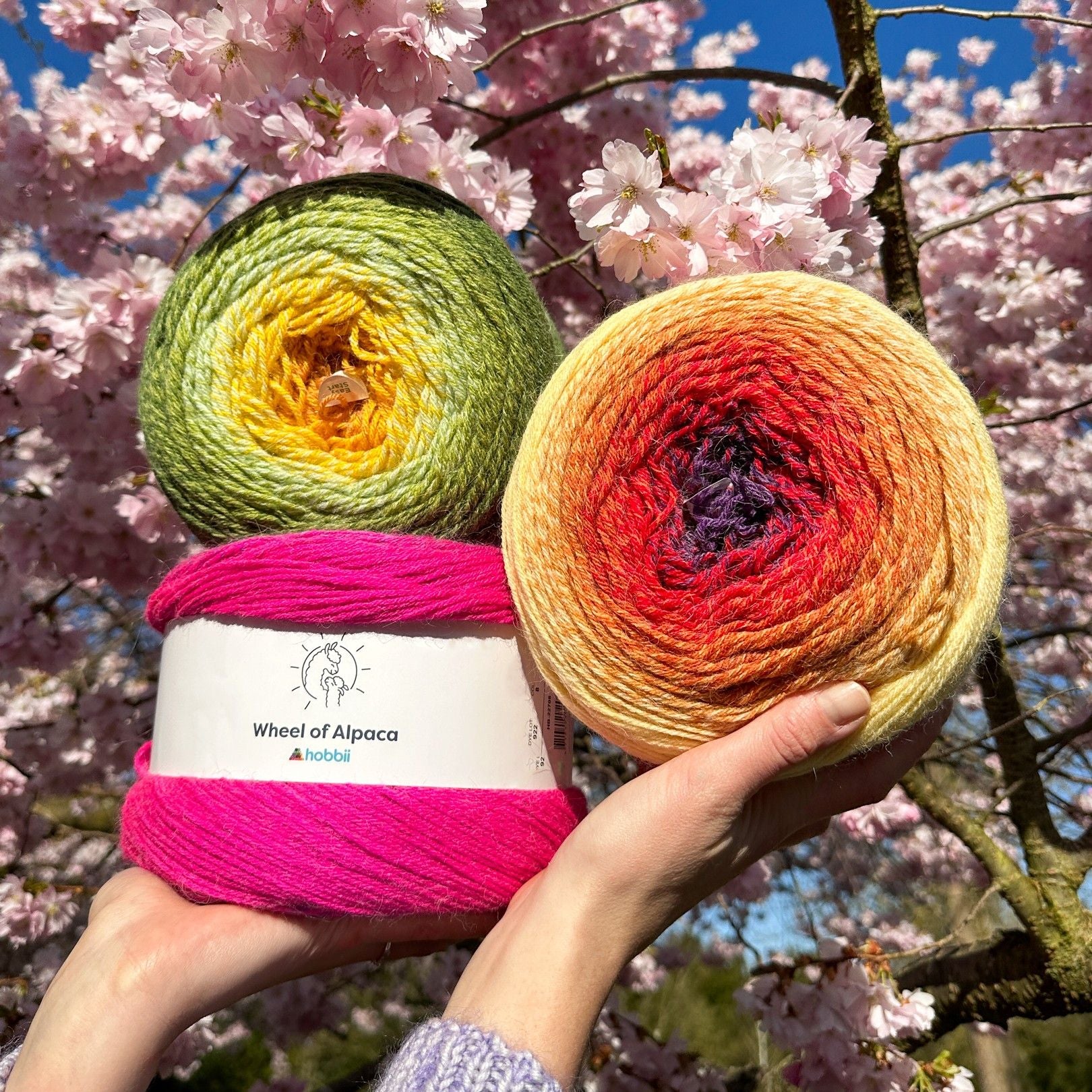 Wheel of Alpaca - Image 2